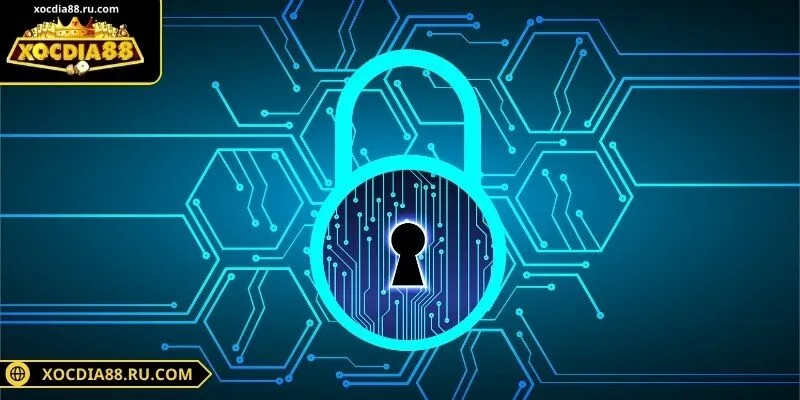 Chính sách bảo mật cơ sở pháp lý tin cậy