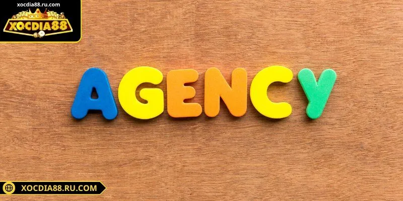 Hưởng trọn quyền lợi khi hợp tác