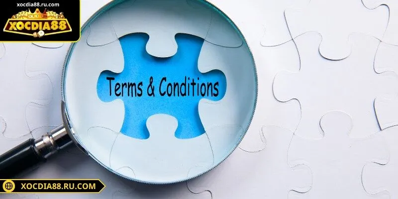 Ba nhóm điều khoản then chốt giúp nền tảng vận hành vững chắc