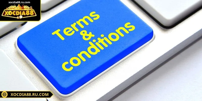 Điều khoản điều kiện cơ sở pháp lý không thể thiếu