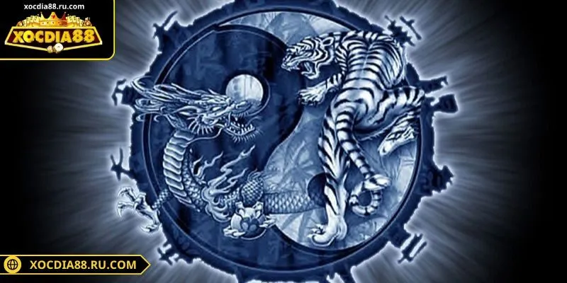 Lưu ý một vài vấn đề khi tham gia cược