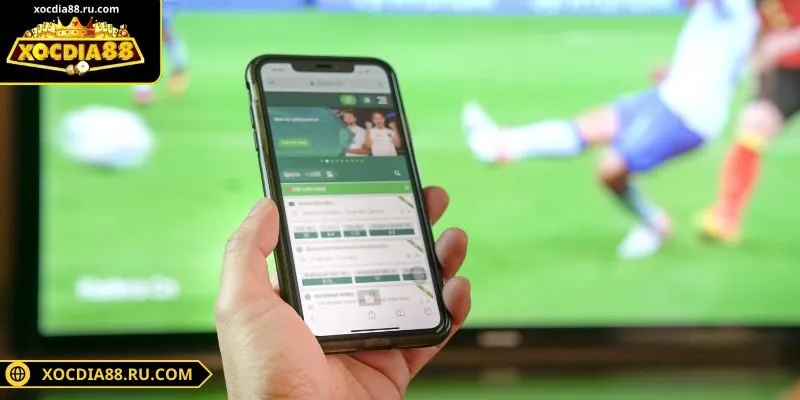 Nhiều lựa chọn đặt cược theo trận đấu