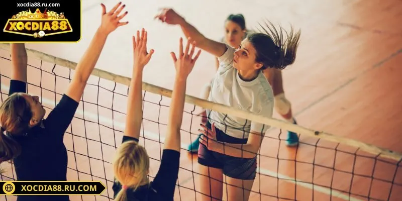 Ưu tiên đặt kèo vào các bộ môn bạn am hiểu