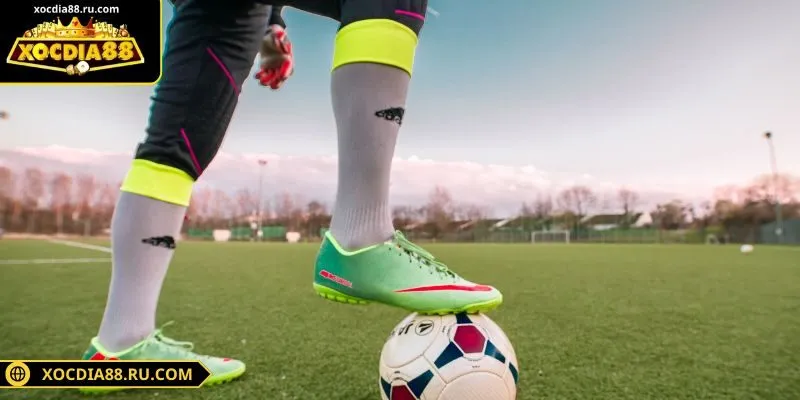 Sbobet xocdia88 biến động tỷ lệ kèo theo từng trận đấu