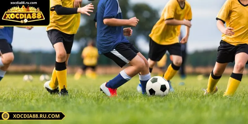 Thể thao xocdia88 cung cấp hàng trăm trận đấu hàng tuần