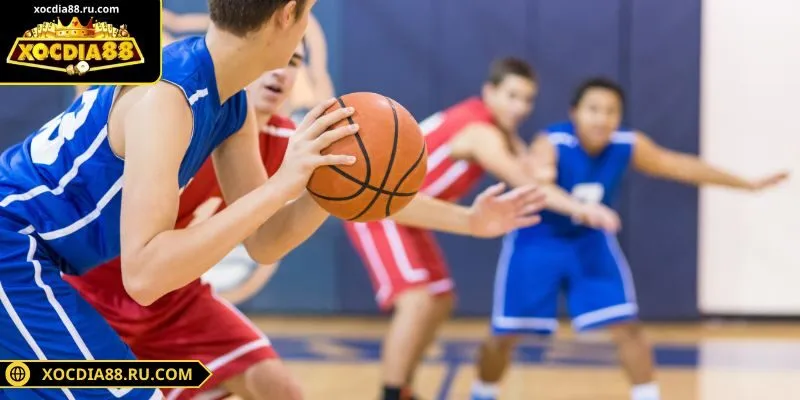 Bóng rổ với nhiều trận đấu và kèo cược thưởng cao